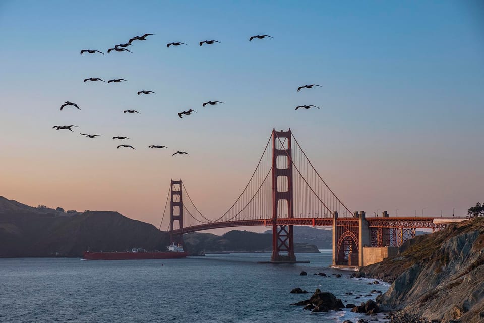 Golden Gate Bridge at dusk with pelicans flying over the bay, on a post about EB-2 NIW and EB-1A petition evidence with immigration attorneys